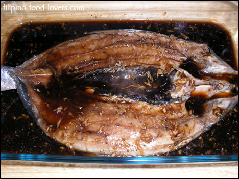 Bangus Fish