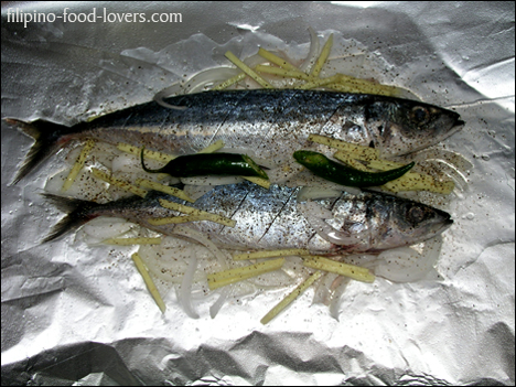 Galunggong Fish