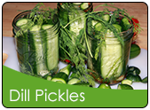 Dill Pickles