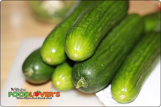 Pickling Cucumbers